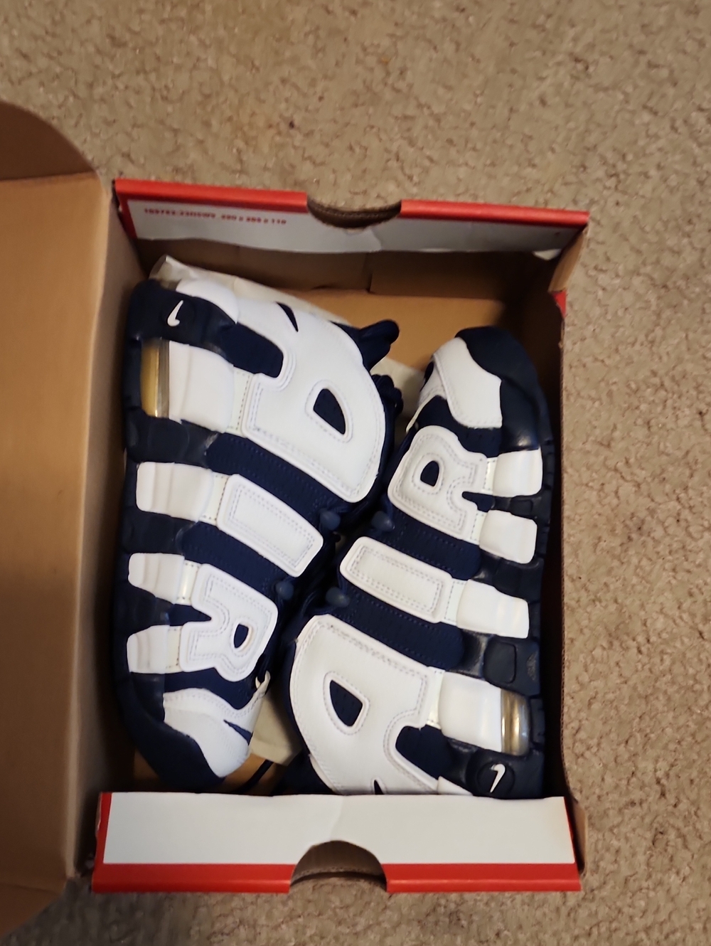 Nike Air Pippen
